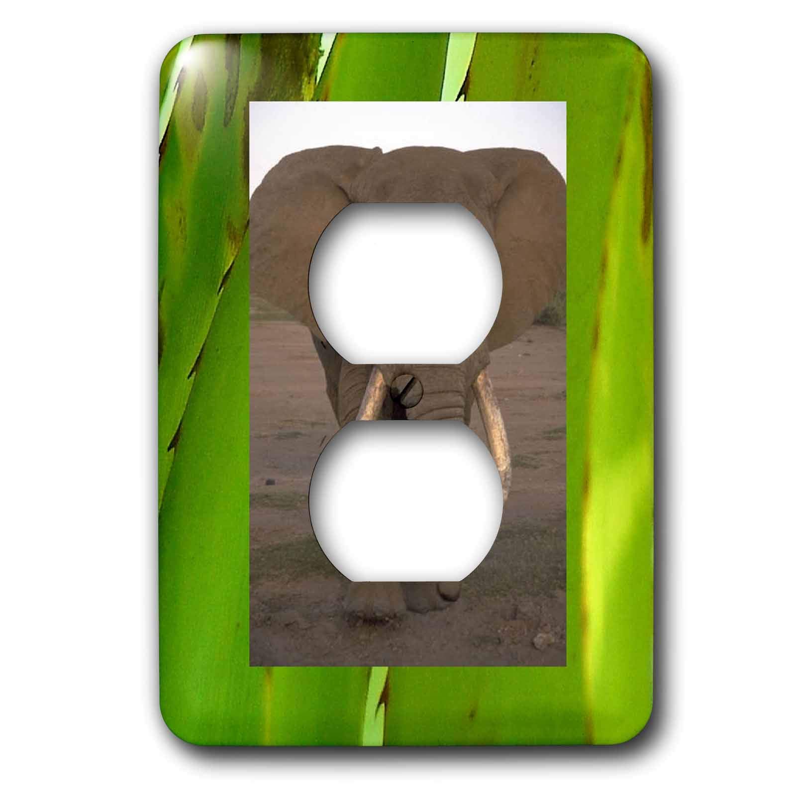 Cache-prise éléphant de la jungle 3dRose pour masquer les plaques électriques ternes