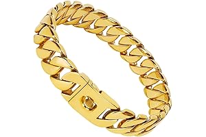 Big Dog Chain Collar: A Statement of Strength and Durability