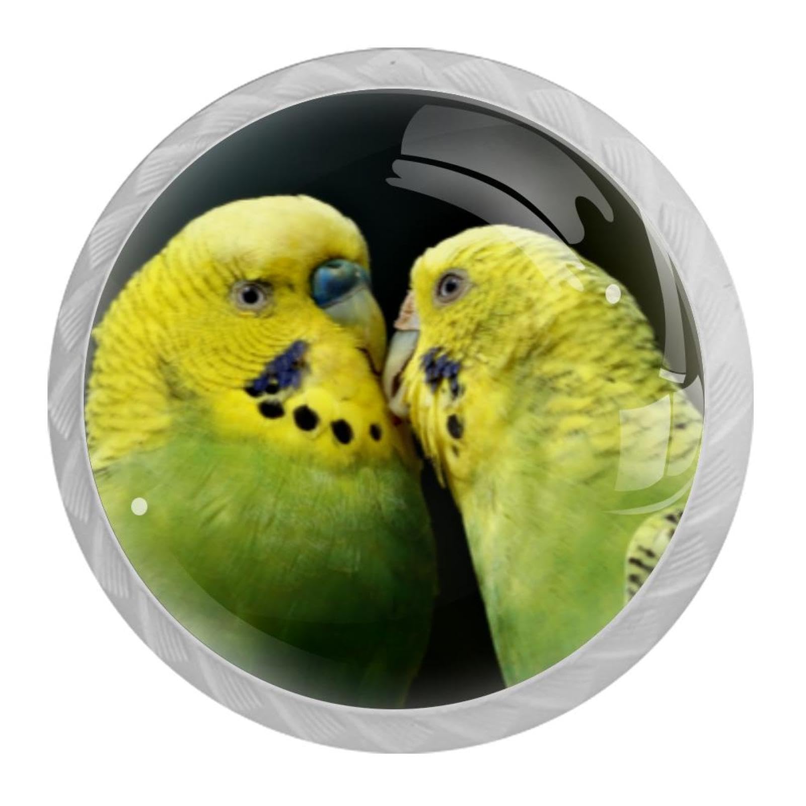 Tqmspg Multi08 4 Pieces Drawer Pulls Parrots Birds Door Knobs Dresser Handles For Kitchen Wardrobe Cupboard Hardware Furniture