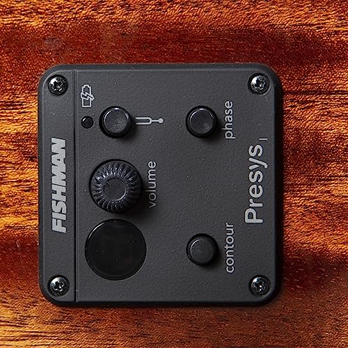 Breedlove DSCN44XCEEUAM Eco Discovery S Concert Ce 12-String Acoustic-Electric Guitar thumb #6