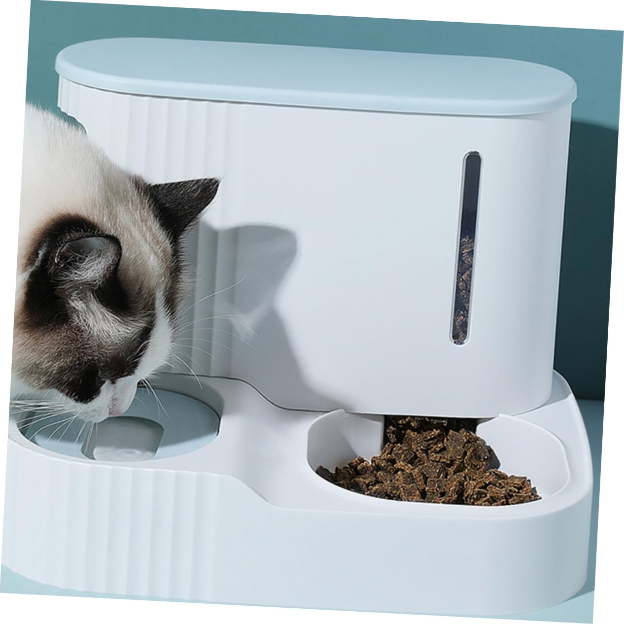 Distributeur Automatique et Eau de Nourriture Gravité, pour Chats