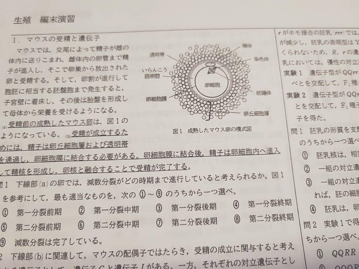 鉄緑会による最新版高3生物知識の総完成とガイダンスのフルセット　駿台　河合塾 鉄緑会による最新版高3生物知識の総完成とガイダンスの