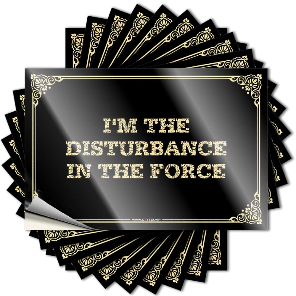 I'm The Disturbance in The Force Tumbler Optical Illusion - Boys Decals Self Adhesive Sticker(6X9CM)