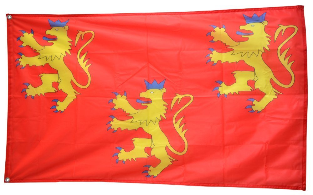 Drapeau Savoie 20cm Par 30cm | Fêtes En Folie