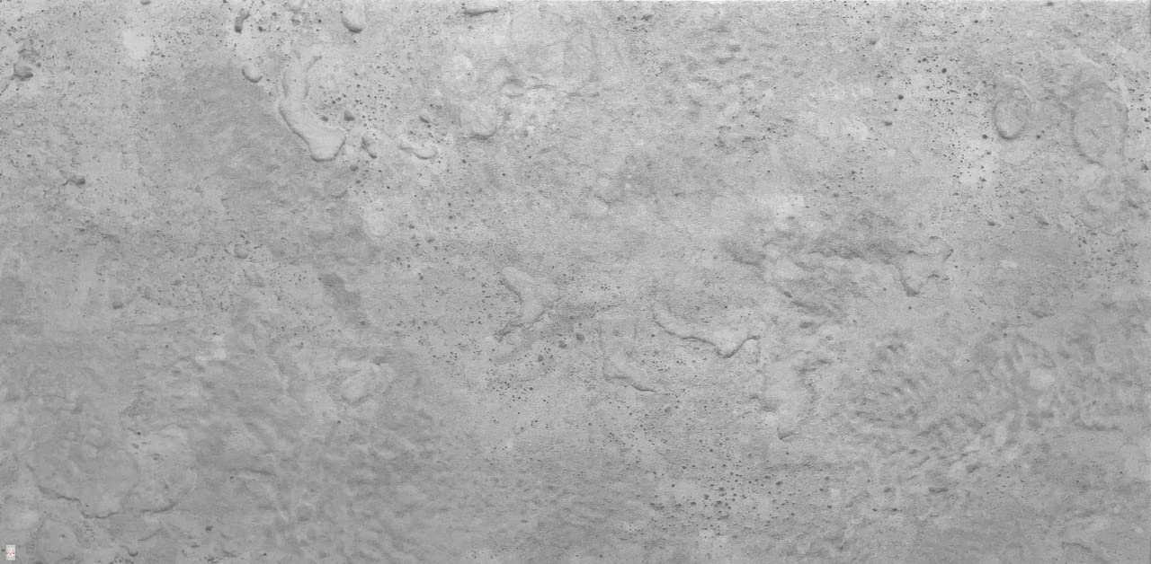 6914.XL 6914.XL 6914.XL - Paneles decorativos para techo (poliestireno XPS 6914, 4 m², 100 x 50 cm, 8 unidades)