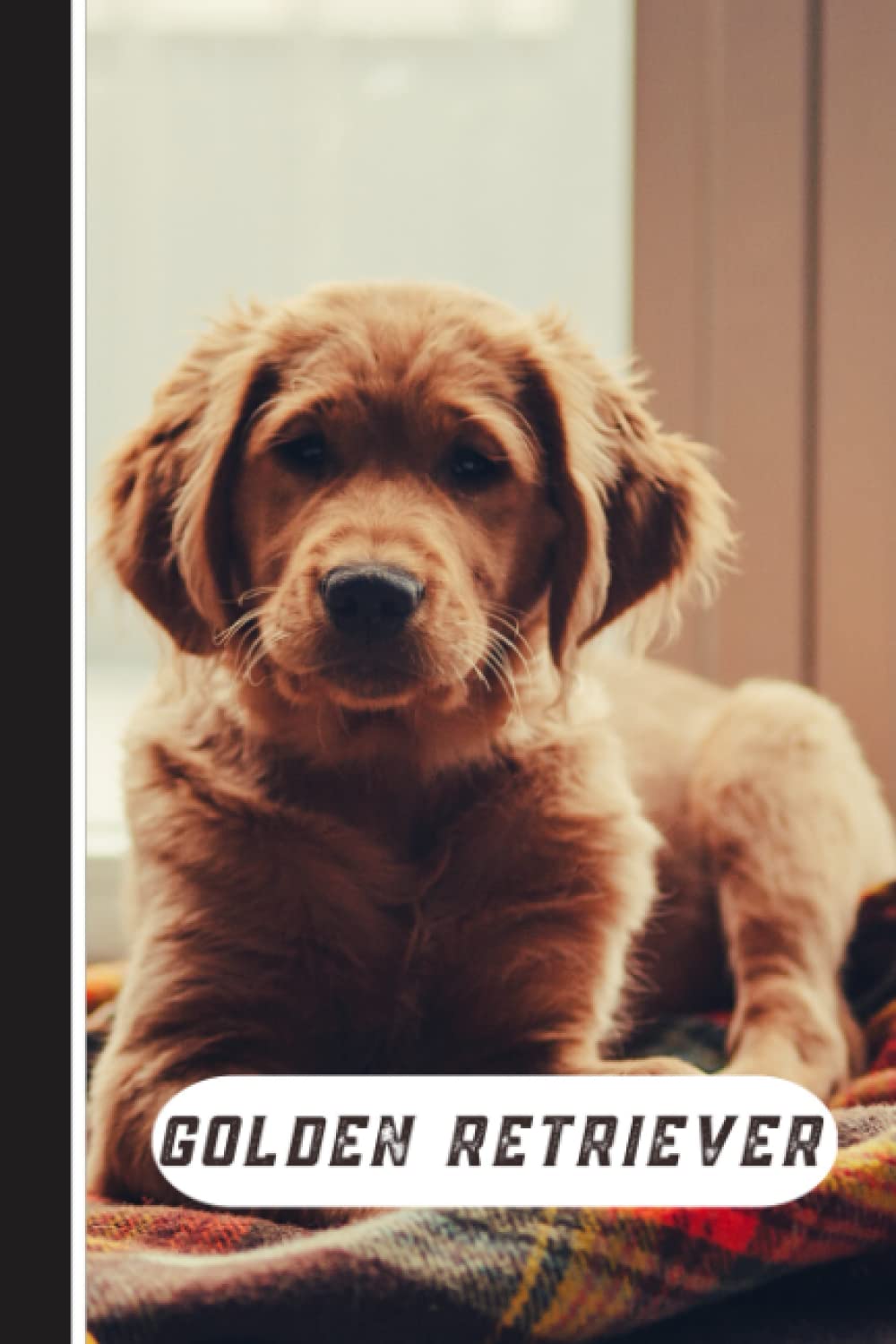 Golden Retriever Notebook: Cute Golden Retriever Lined Journal 120 pages,Golden Retriever chien Notebook cadeau parfait pour les amateurs de chiens, ... animaux, Golden Retriever (French Edition)