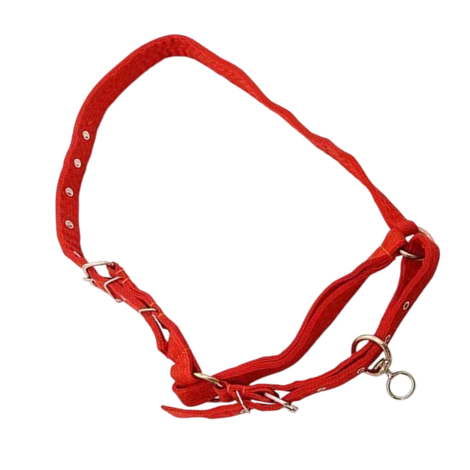 LUCKGONI Strong Customizable Livestock Headgear Featuring Reinforced Fabric And Nickel Components For Various Sized Animals