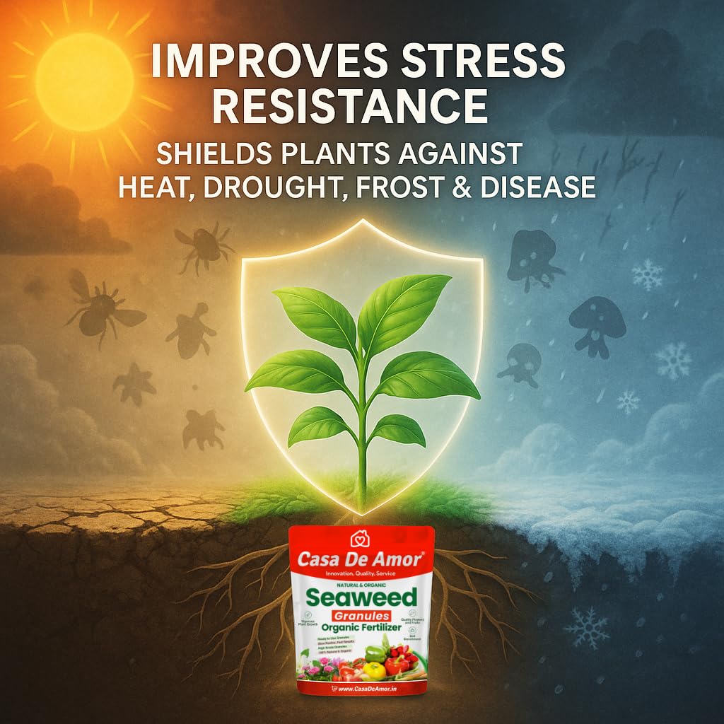 Casa De Amor Seaweed Granules Organic Plant Food, Plant Growth Promoter, Suitable For All Types of Plants (900 gm) 4