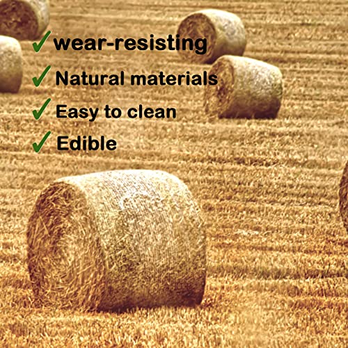 Image of 8 PCS Rabbit Grass Mat,Natural Bunny Grass Mat Woven,Pet Bed Nest Mats Rabbits Chew Toys for Hamsters Parrot Rabbits Hedgehog Guinea Pig Chick and Other Small Animals Hay Mat Sleeping(8 PCS)