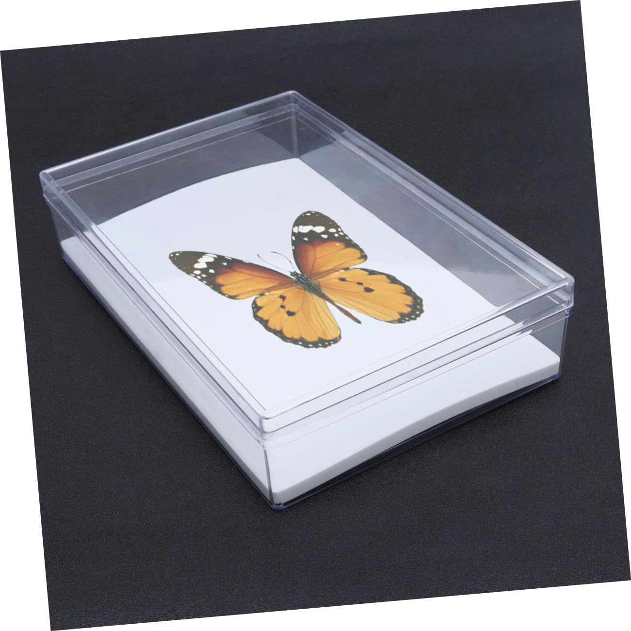 Cabilock Caja Expositor Transparente para Especímenes de Insectos Vitrina Multifuncional con Tapa Protectora Almacenamiento Duradero para Joyas Monedas y Manualidades