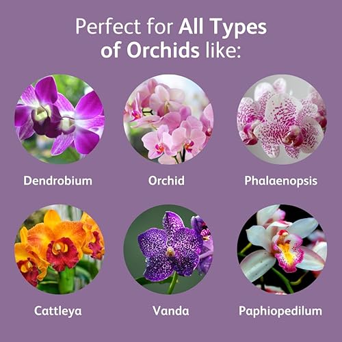 Miniatura 4 de Chrysal Gotas de alimento para orquídeas, cuidado de orquídeas, suministro de un paquete por año, alimento concentrado para flores para todas las