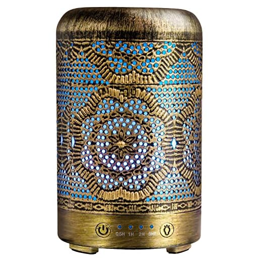 Diffuserlove Essential Oil Diffuser 100ml Metal Aromatherapy Diffuser with Auto Shut-Off Protection, 7 Color LED Night Lights Cool Mist Humidifiers for Home Office Yoga