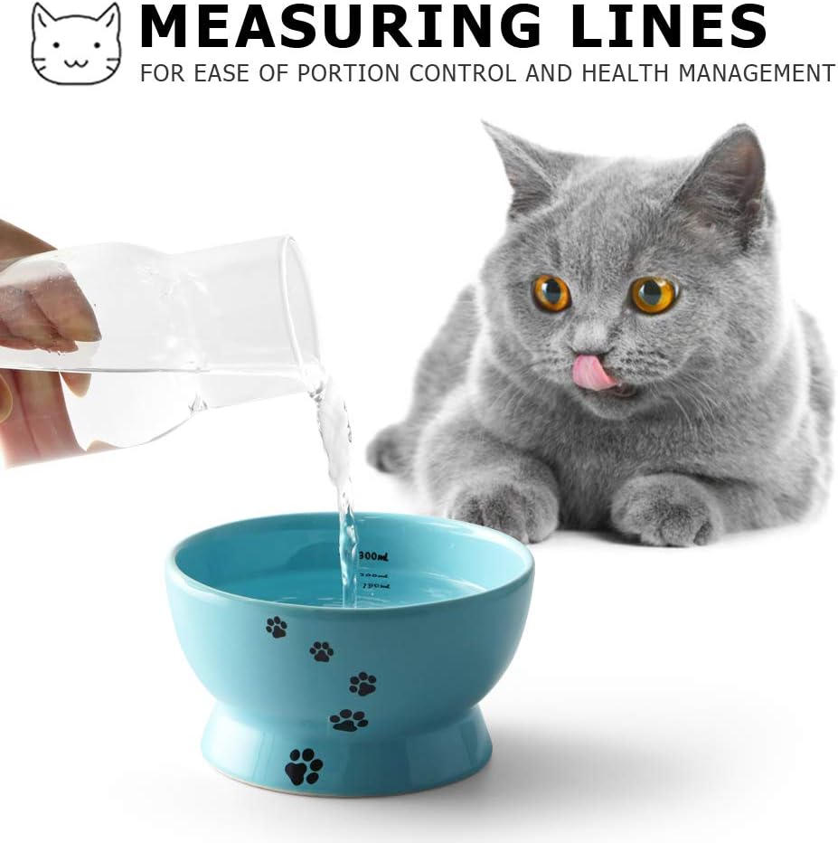 Y YHY Cat Bowl, 15 Ounce Cat Water Bowl, Raised Ceramic Cat Food Bowl, Elevated Cat Dog Dish No Spill, Pet Bowls for Cats or Small Dogs, Anti Vomiting, Measurable, Blue : Pet Supplies
