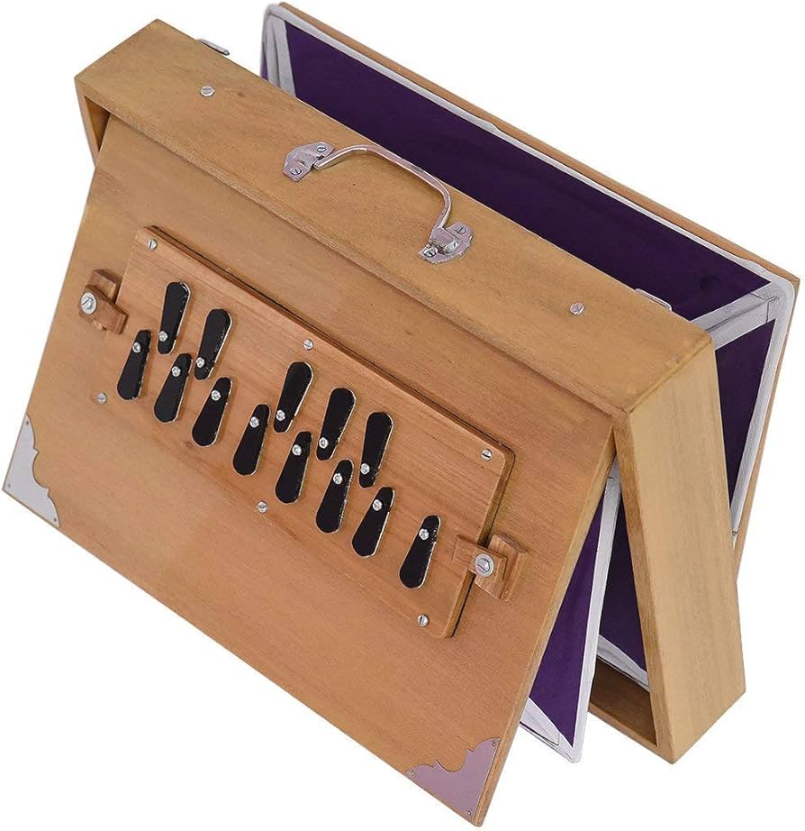 Amazon.co.jp: シュルティボックス、サイドコントロール、シュ