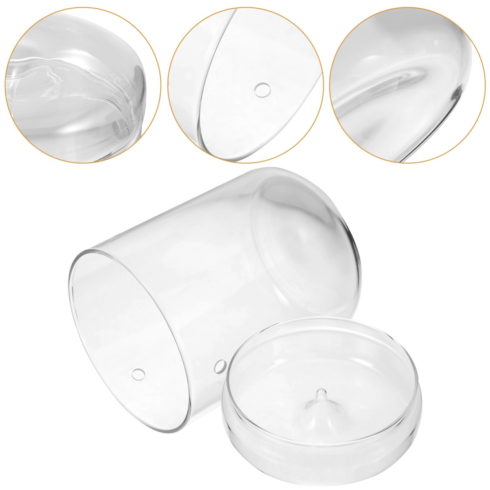 Happyyami Terrario in Vetro per Muschio e Piante, Vaso Micro-paesaggio Trasparente, Decorazione da Tavolo per Casa e Ufficio, Multiuso