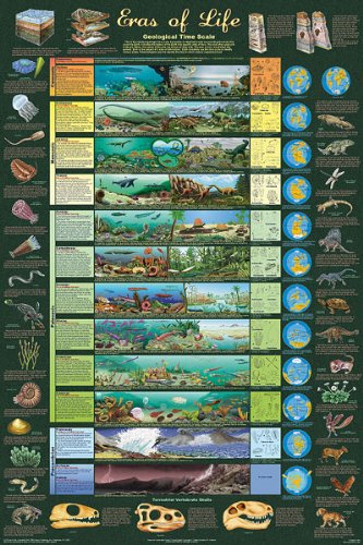 (24x36) Laminated Eras of Life Poster Educational Science Chart