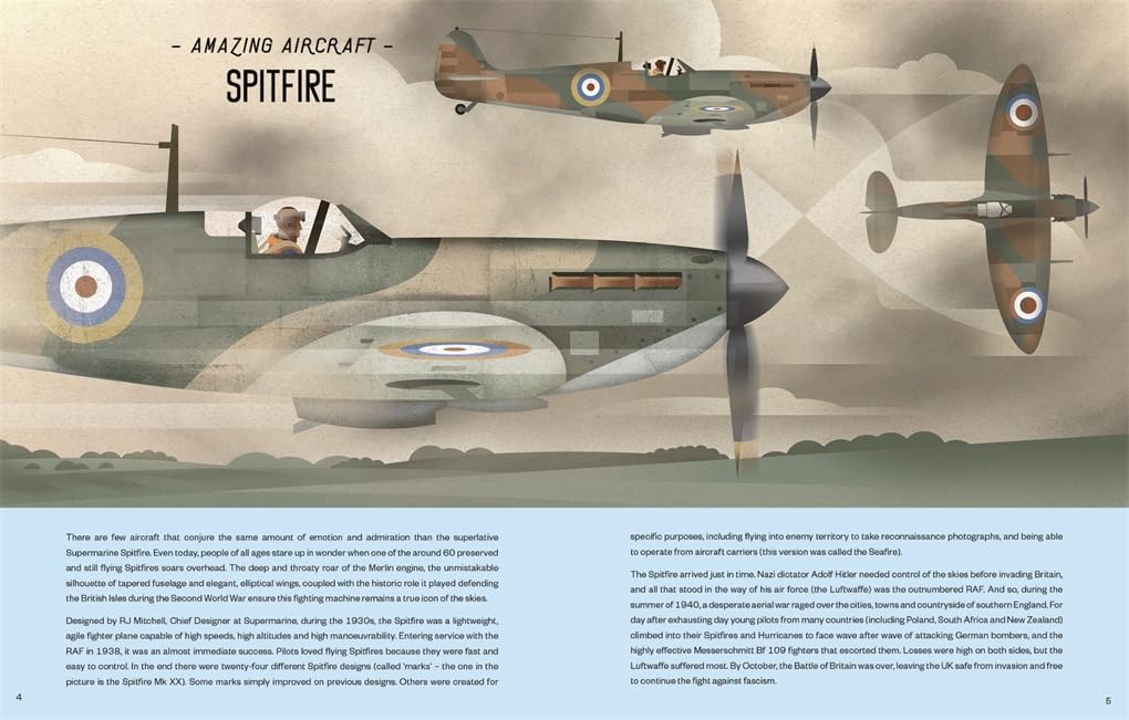 Aviation: A Visual History of Aircraft (Locomotion)