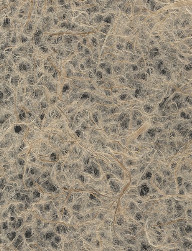 Kawairi Rakusui (Flecked Nest) Paper from Japan- 24x39 Inch Sheet