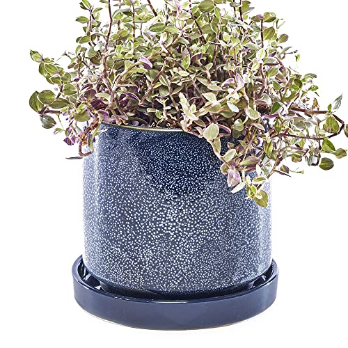 CHIVE ‘Minute’ Ceramic Planter Pot — Cute 5” Colorful Succulent Pots for Indoor & Outdoor House Plants — Beautiful Modern Farmhouse Kitchen Decor — Cosmo Blue