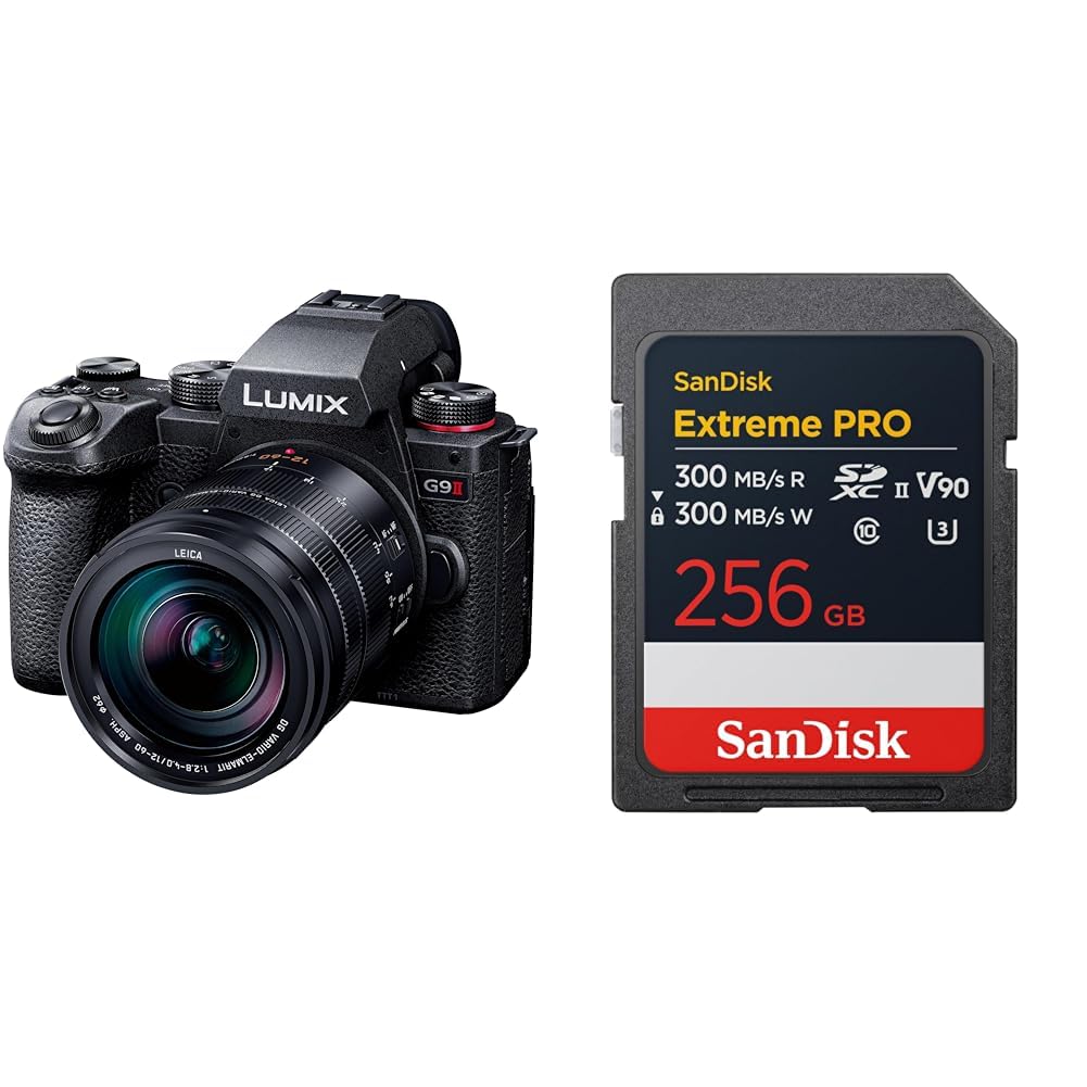 Amazon | パナソニック(Panasonic) ミラーレス一眼カメラ ルミックス