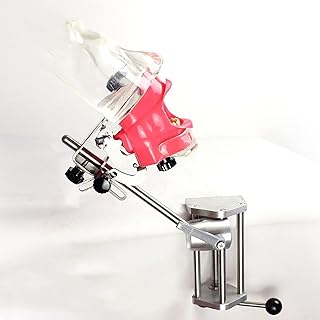 Dental Phantom Head Model, Dental Simulator, Dental Practice Model with Phantom Head Training/Tooth Model, Dental Education Mannequin for Training Dental Tooth Model