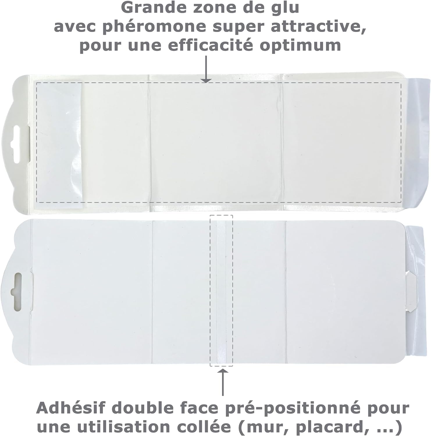 SOLUMITES - Lot de 12 Pièges à Phéromones pour Mites des vêtements et des Textiles - pour la Maison, Les magasins, Les entrepôts