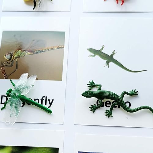 Miniatura 5 de MEROCO Montessori Animal Match - Figuras de animales de insectos con tarjetas a juego Idioma Montessori Materiales Montessori Juguete de aprendizaje