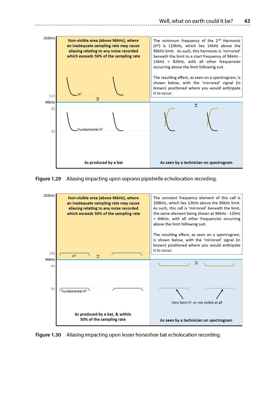 Is That a Bat?: A Guide to Non-Bat Sounds Encountered During Bat Surveys (Bat Biology and Conservation)