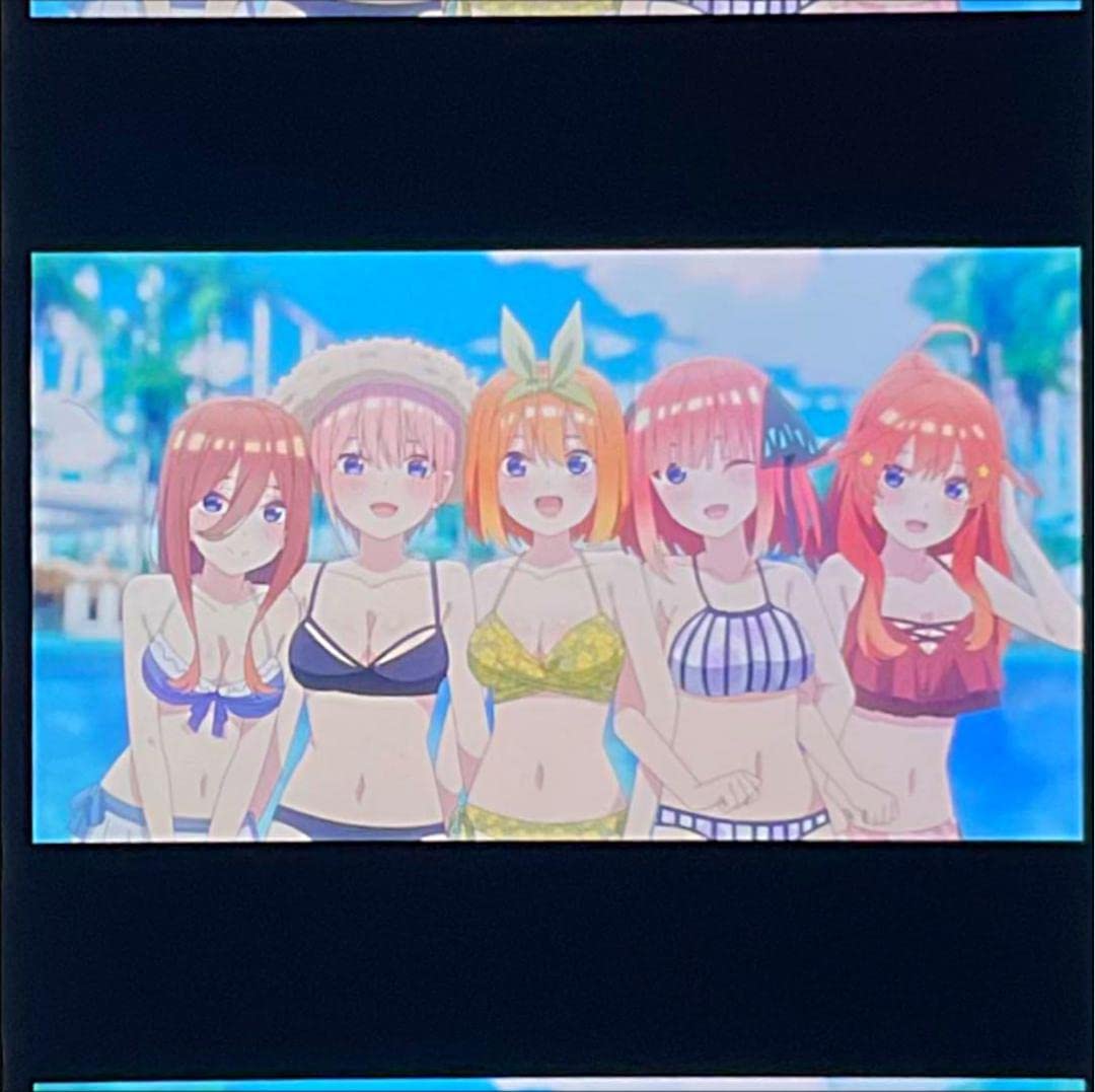 希少 五等分の花嫁 フィルム 入場者特典 水着写真 プール 全員集合