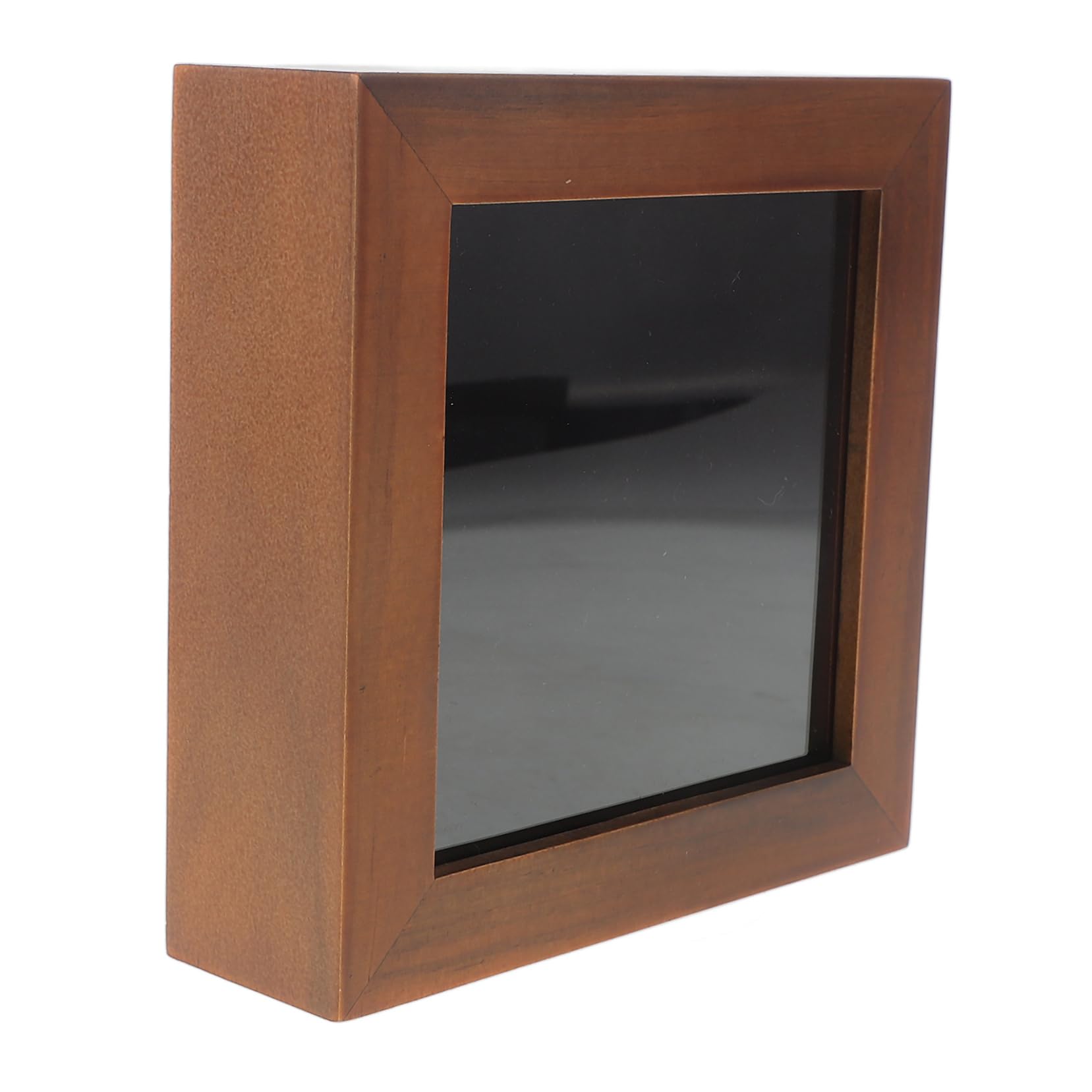 Ciieeo Insect Specimen Photo Frame Lid DIY Flower Display Versatile Lapel Pin Holder