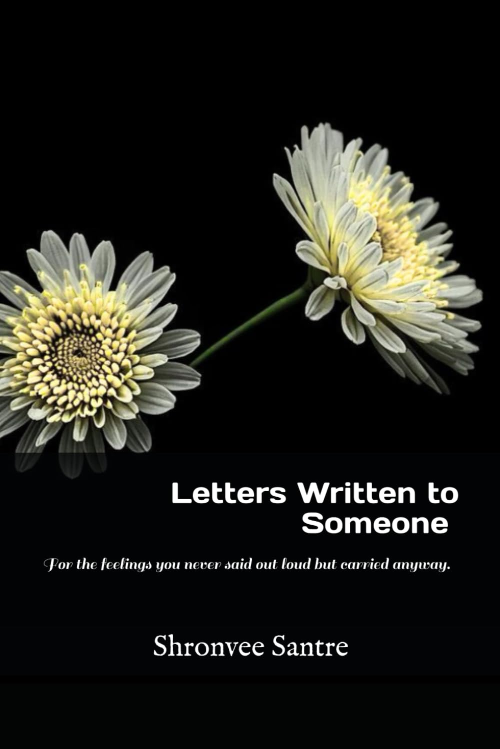 Letters Written to Someone: For the feelings you never said out loud but carried anyway.