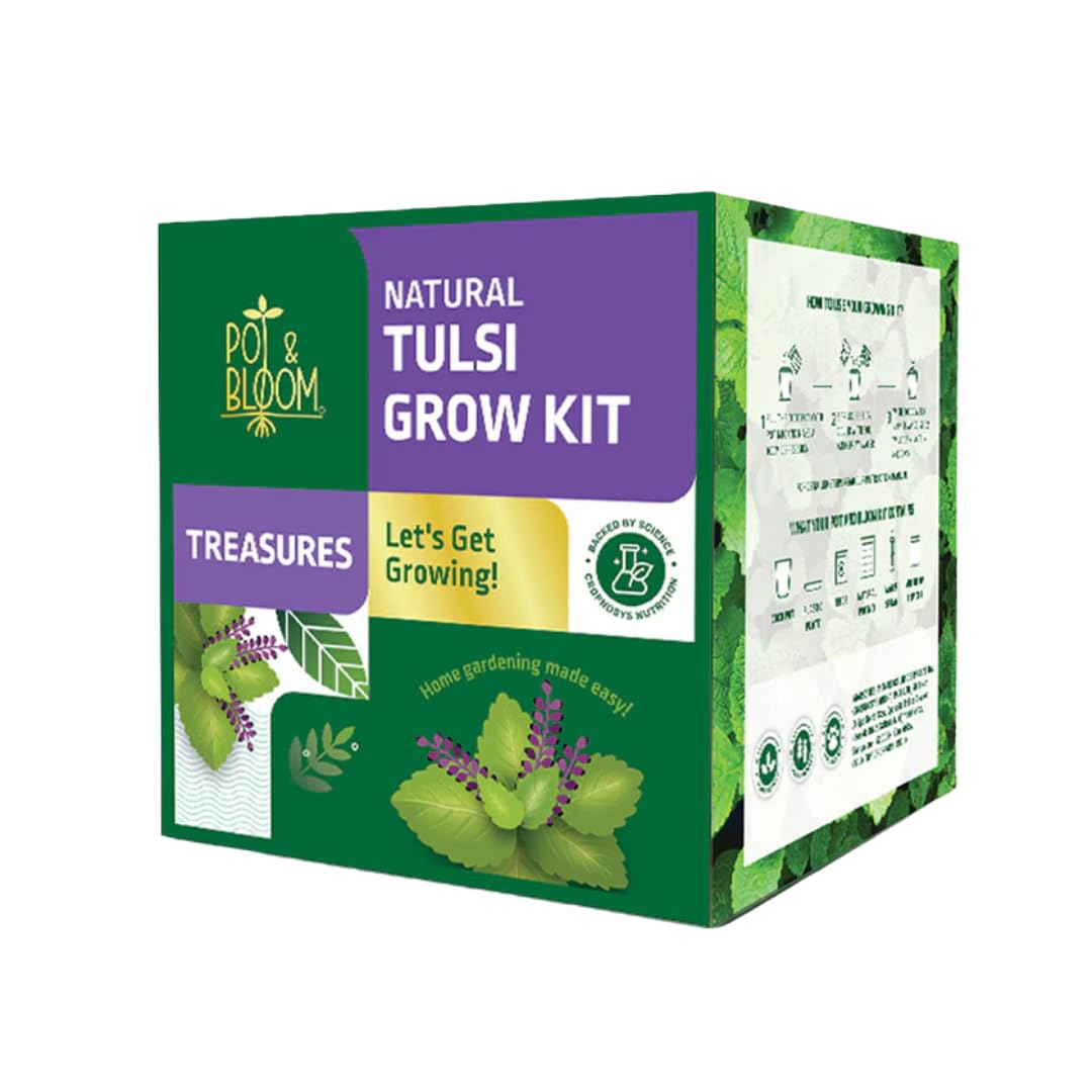 Pot and Bloom Treasures Tulsi Kit – Gardening Set with Tulsi Seeds, CocoPot, Plate, Water Spray, Nutrition Powder, Pot Mix, and Instruction Manual for Easy Growing & Healthy Herb Harvest