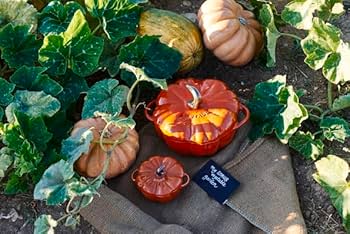 Amazon｜staub ストウブ 「 パンプキン ココット シナモン 15cm 0.68ml