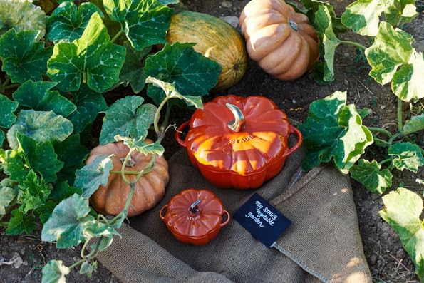 ストウブ　パンプキン　ココット　シナモン Amazon｜staub ストウブ 「 パンプキン ココット シナモン 15cm