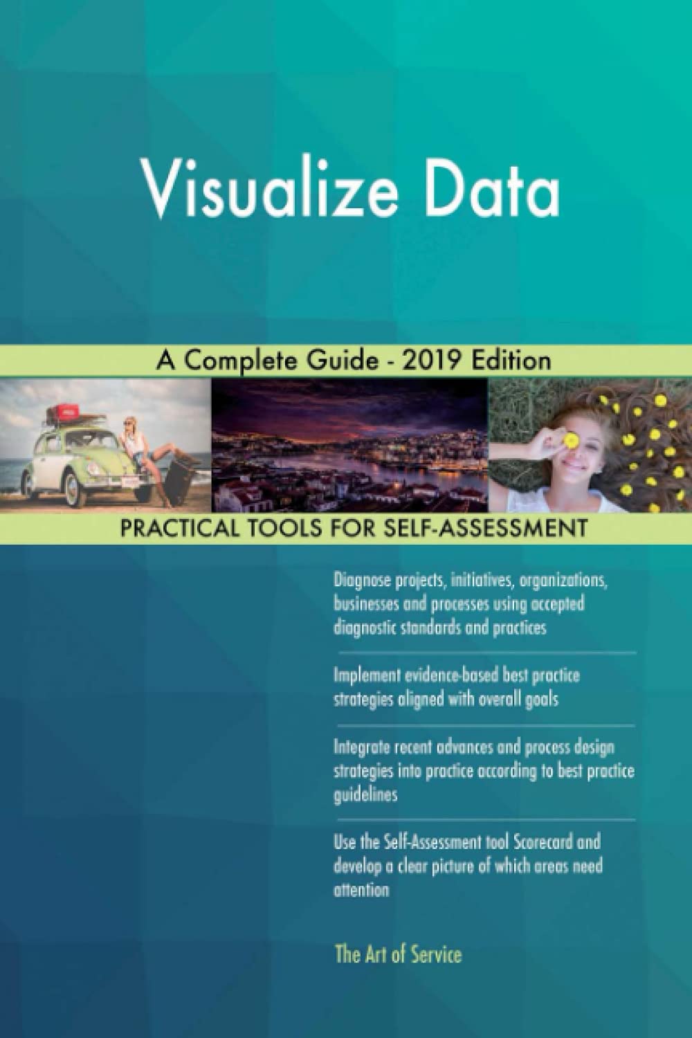Visualize Data A Complete Guide - 2019 Edition