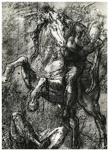 Poster sur toile Horseman par Tiziano Vecelli sans cadre SERENDIPITP 50x70 cm