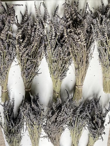 Ramos de Lavanda Natural Secada para Manualidades 10 Unidades miniatura 2
