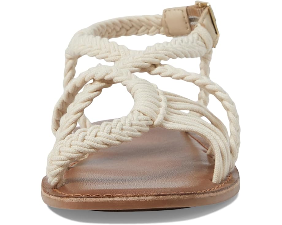 Seychelles Sundown Socialite - Top View