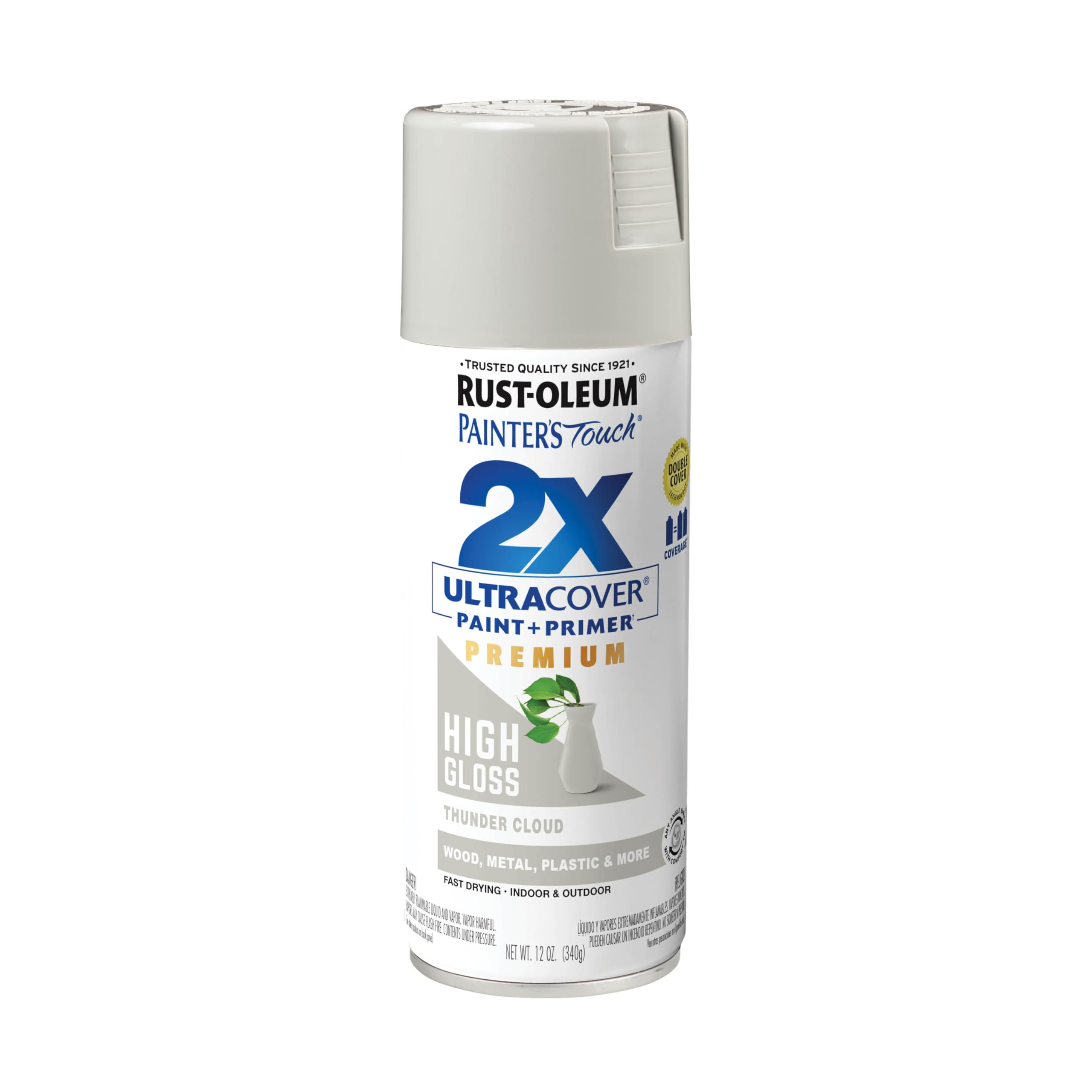 Rust-Oleum Painter's Touch 2X Ultra Cover Spray Paint, Thunder Cloud