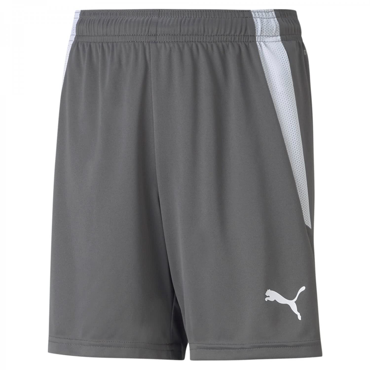 PUMA Unisex Baby Teamliga Shorts Jr, Grau, 116