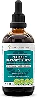 Secrets of the Tribe Tribal Parasite Cleanse: Alcohol-Free Herbal Tincture with Cranberry, Garlic, Black Walnut, Wormwood - High-Potency 4oz Drops