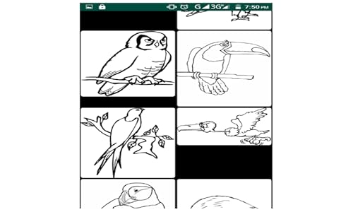 Birds Coloring Pages App