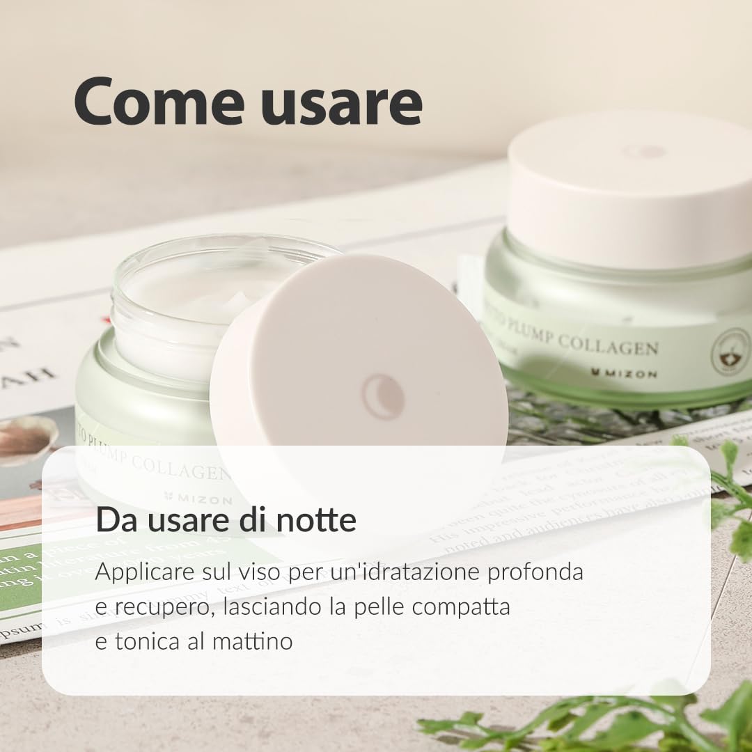 [Mizon] Crema Notte al Collagene Vegetale (50ml) Collagene vegano e a base vegetale, Linee sottili e rughe, Idratazione, Cura notturna (Phyto Plump Collagen Night Cream)