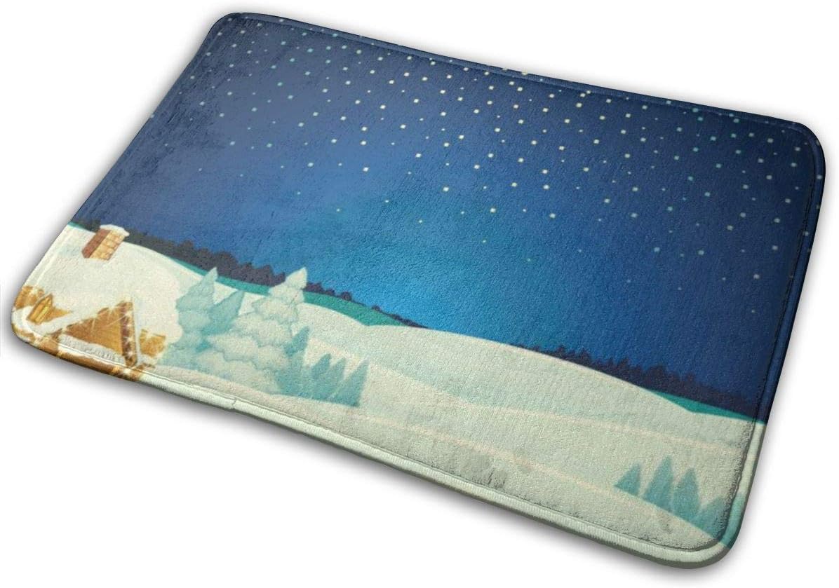 Etuwdie Winter Landscape Cartoon NonSkid Doormats Perfect