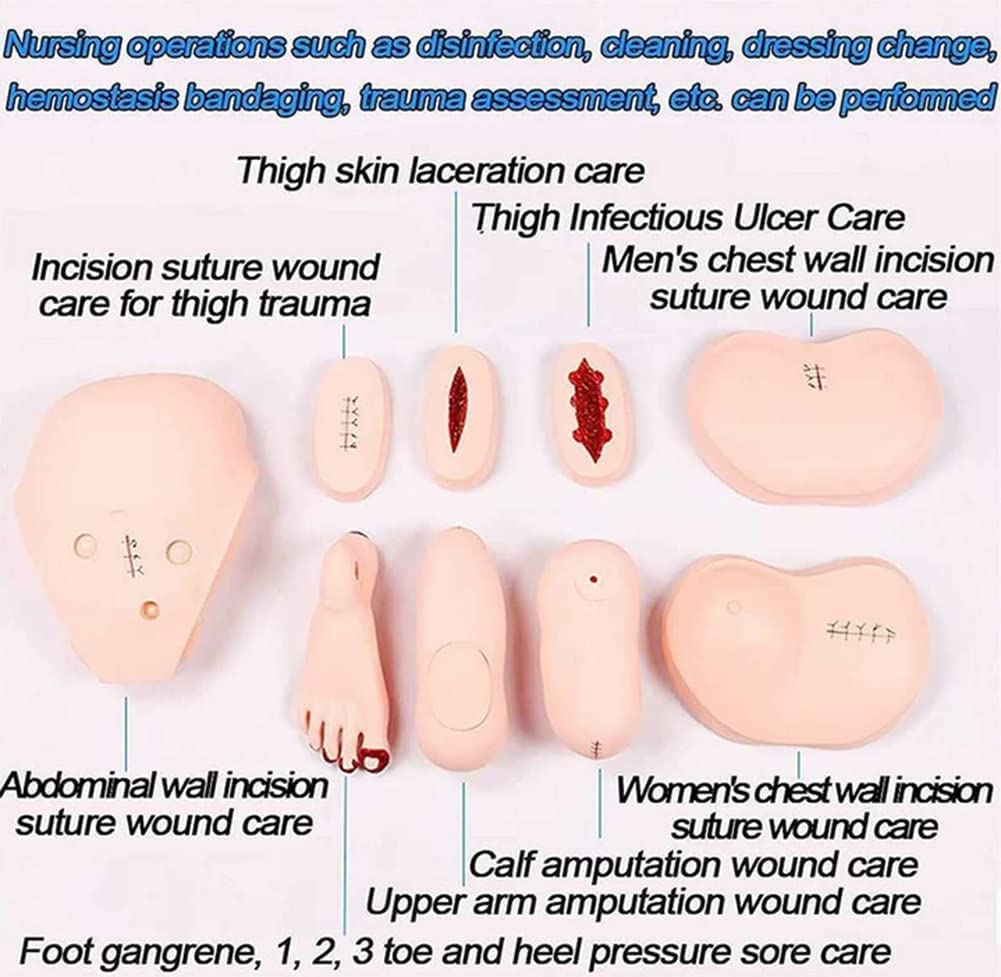 Anatomisches Modell für Patientenversorgung, PVC, 1,5 m, menschliches anatomisches Modell für Studenten, Ausbildung, Lehren, medizinische Ausbildungsfähigkeiten