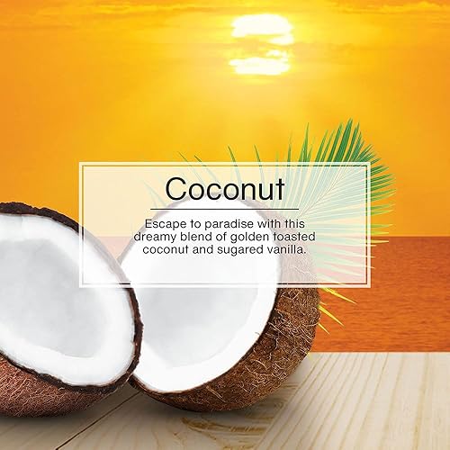 Miniatura 107 de Little Trees - Ambientador de árbol colgante que proporciona un aroma de larga duración para auto u hogar. Aroma Leather, 4 paquetes de 6