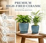 6 Inch Ceramic Plant Pots with Drain Hole & Saucer, Ceramic Pots for Indoor Plants - Succulent, Snake Plant, Money Tree, Aloe Vera, Basil Planter(Glaze Blue)