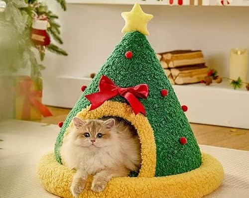 JCAA LpnEX ybgxbh Lp p ^ h[^ ~ ӂӂ _炩 ۉ g  NbV }bg  Vv ʔNp  Op^ MTCY