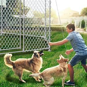 9 3×9 3×8 2 ft large dog kennel outside with roofoutdoor dog kennel with metal gateheavy duty dog kennel with lock for outdoor backyard   cucciolini doodles