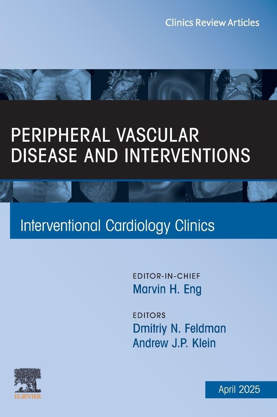 Peripheral Vascular Disease and Interventions, An Issue of In... - 9780443344176